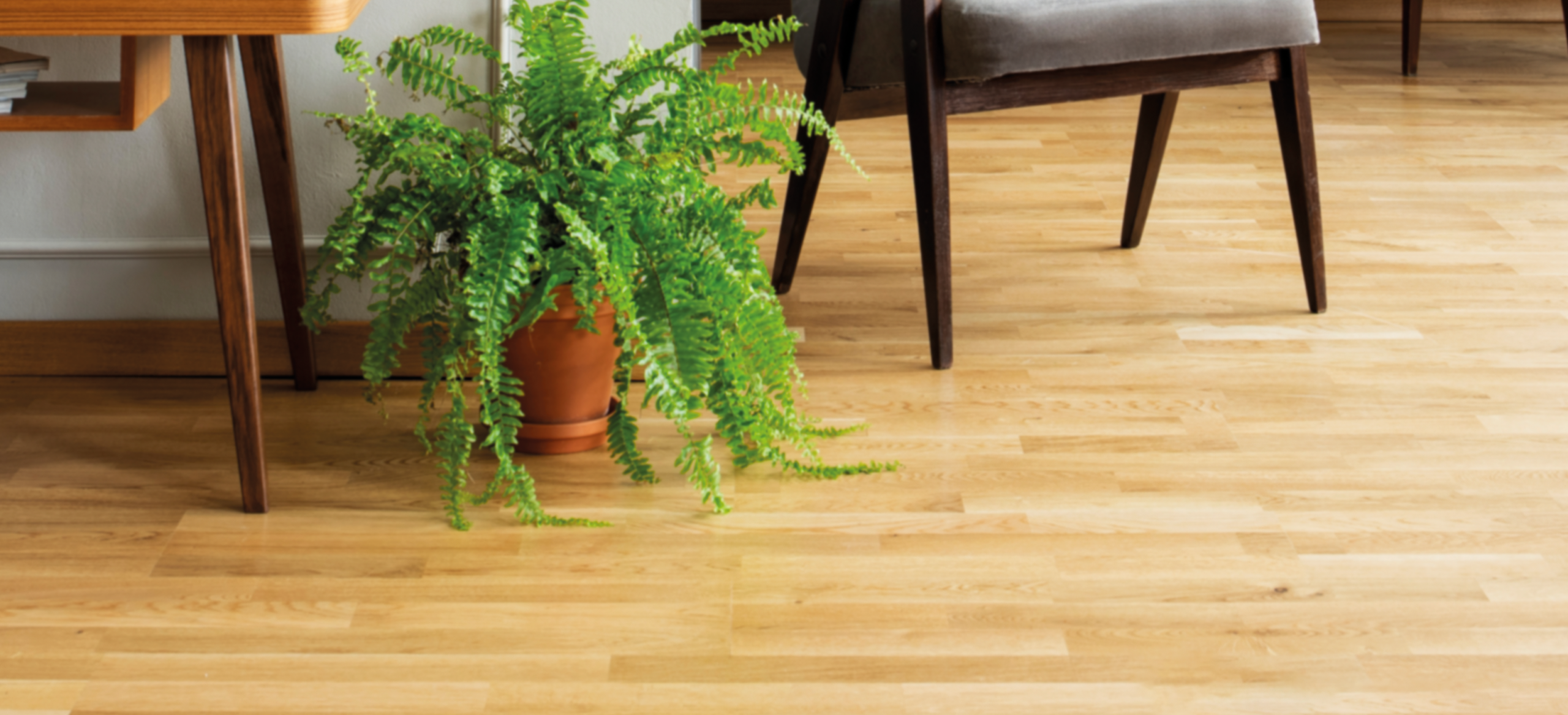 envoy flooring abriso jiffy