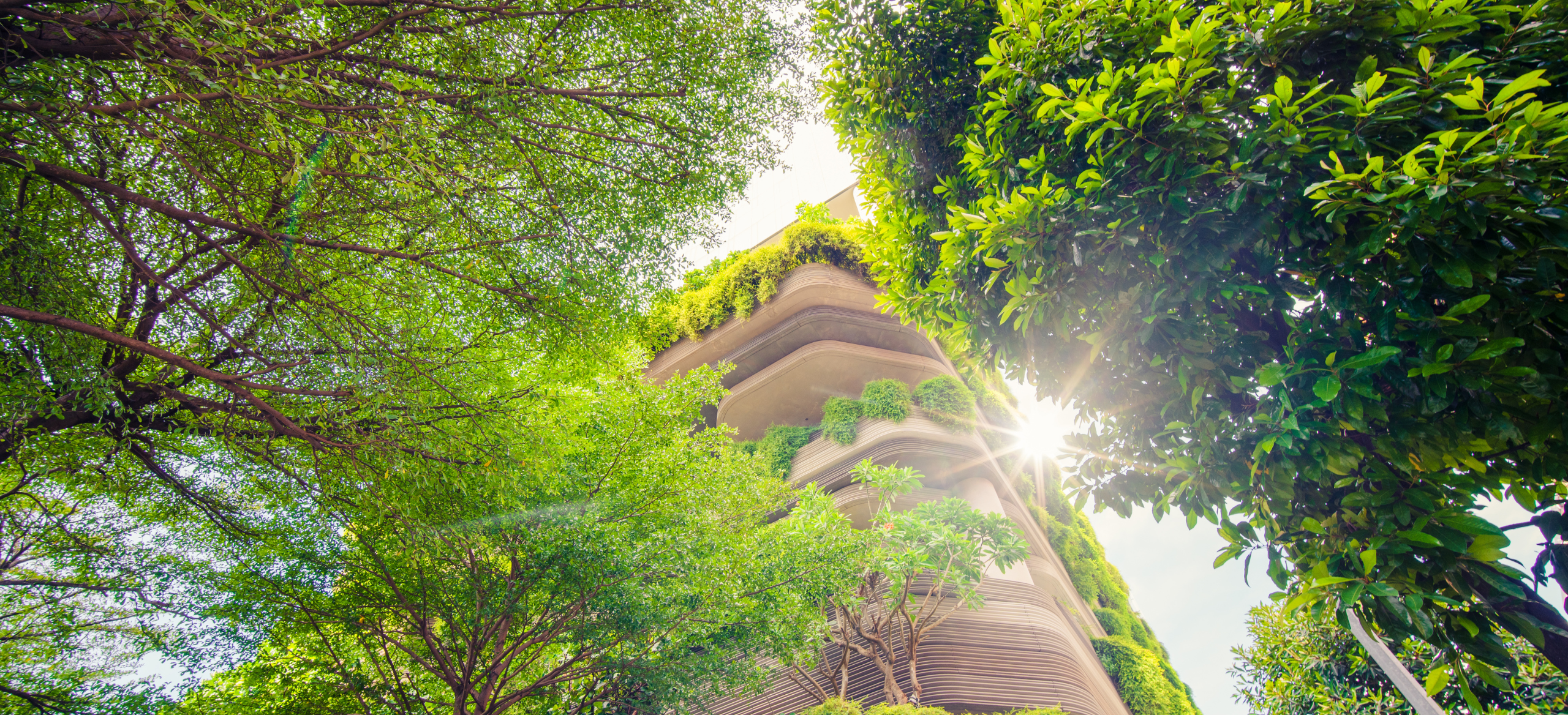 closed loop abriso jiffy